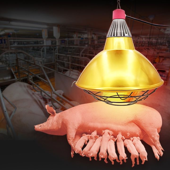 Viddavet Big Golden Pig Heating Lamp shade Infrared Heat Light shade