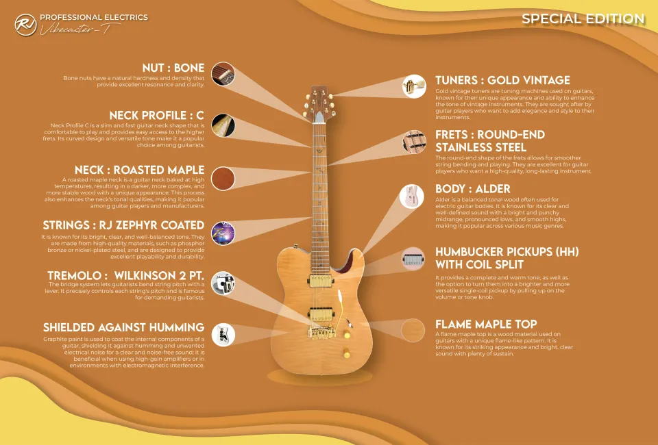 RJ Professional Electrics Vibecaster T (T-Style Body) - Lazada