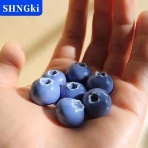 [COD] 🔥🔥🔥SHNGki 5 6 10pcs 3D Thực Tế Blueberry Tủ Lạnh Nam Châm Mini Trái Cây Trang Trí Nội Thất Nhựa Thực Phẩm Tủ Lạnh Nam Châm Ảnh Tin Nhắn Bảng Trang Trí Nội Thất Nhà Văn Phòng Tủ Lạnh Trang Trí Nội Thất Quà Tặng