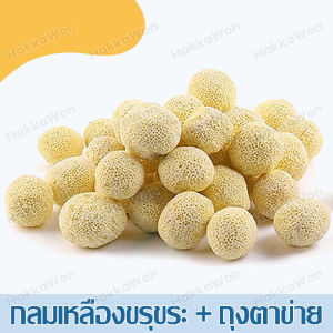 ถูกที่สุด วัสดุกรอง ทรง กลมมินิ ลูกเล็ก 0.5kg/1kg หินกรอง ตู้ปลา เซรามิคริงค์ พร้อมถุงซิป มีหลายรูปทรงให้เลือก mini ball