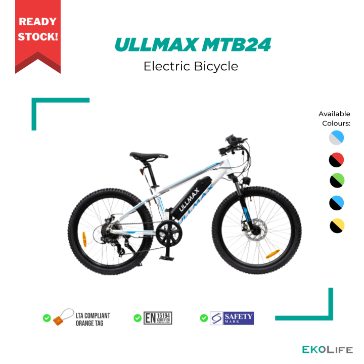 Electric bike 2025 24 inch