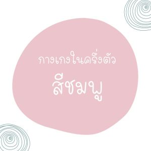 Cherie เชอรี่ กางเกงใน กางเกงในไร้ขอบ ครึ่งตัว ผ้ากระชับ + ยืดหยุ่นมาก ช่วยลดการสะสมแบคทีเรีย ใส่สบายไม่กดทับ CRO-PTSL01 & NIC-TSUD11