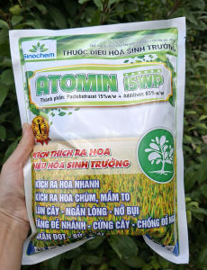 [VTNN TIEN KHOA] Điều Hòa Sinh Trưởng Kích Ra Hoa Ngắn Lóng Cứng Cây - ATOMIN 15WP 1KG (Paclobutrazol 15%)