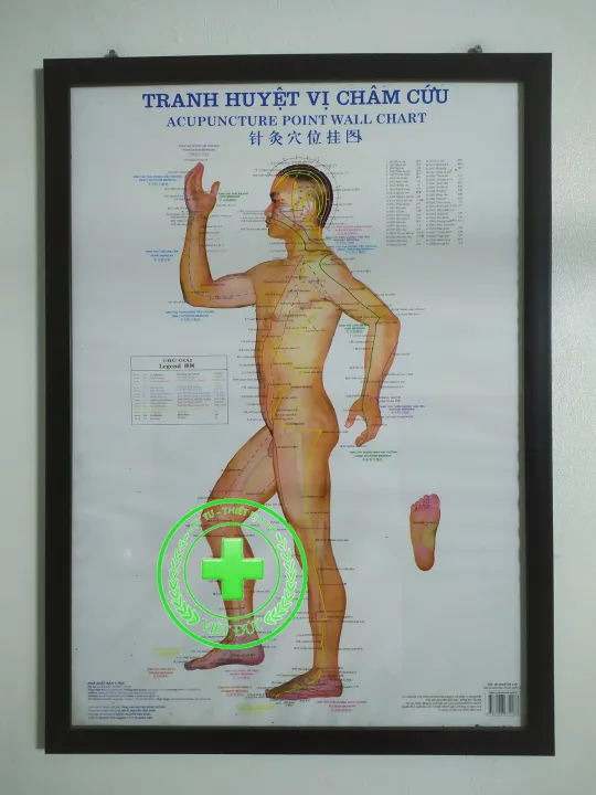 Tranh%20ch%C3%A2m%20c%E1%BB%A9u%20huy%E1%BB%87t%20v%E1%BB%8B%20-%20Image%202