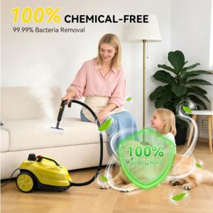 SDFSF 2L Steam Cleaner 2000W High Temperature Steam Mop Deep Cleaning Portable Disinfection Machine Car Interior