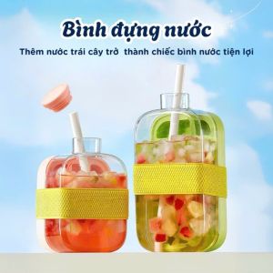 Bình nước mini 2in1 kèm khay đá – 500ml/800ml nắp kín chống tràn nhựa cao cấp có ống hút tiện lợi