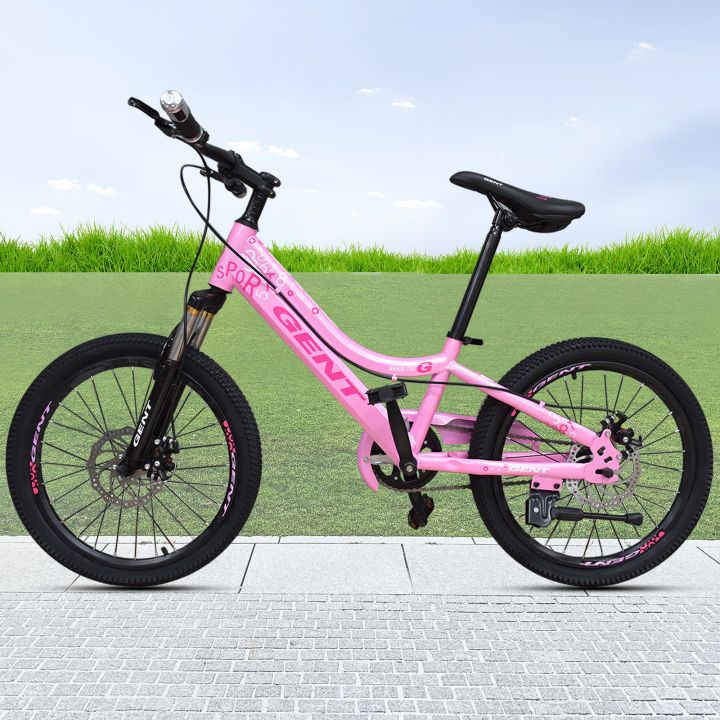 JAPAN Mountain Bike Adult 113 Bicycles 21 SPEED Aluminum Alloy Rim