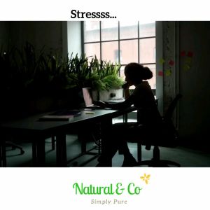 Natural & Co Peace & Calming 100% Natural  & Pure Essential Oil Blend (Pure Coconut Oil) 10ml