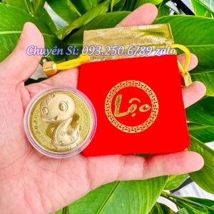 [Giá KM] ĐỒNG XU RẮN VÀNG KÈM TÚI LỘC may mắn cát tường - MẪU 2