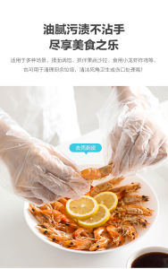 Chahua AG+ Anti-Microbial Disposable Food Gloves Adult and Children Size available