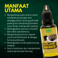 Vitamin Burung, Kutilang Gacor Sutra Kapas, Doping Kutilang Gacor, Kutilang Lomba, menjaga imunitas. 