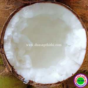 COMBO 2 DỪA SÁP LOẠI 1 ĐẶC RUỘT