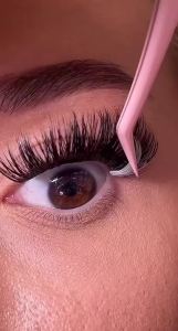 Bộ sản phẩm mi giả rời hiệu ứng 3D mi giả rời kiểu mắt mèo bộ mi giả rời để nối mi mi giả rời nhiều màu mi giả rời tự nhiên + keo dán & chất làm khô dung dịch tẩy mi nhíp dung dịch làm sạch (Bộ sản phẩm mi giả - 7)