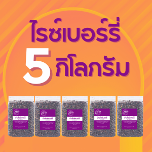 ข้าวไรซ์เบอร์รี่ (นาปรังนิ่ม) ข้าวสาร ราคาถูกที่สุด 5 กิโลกรัม ตรา Good Rice by Glory Rice