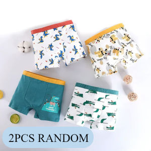 2PCS Boxer Brief for Kids Boys 3-12 Years Old High Quality Cotton Spider Printed Design Red Underwear Set
