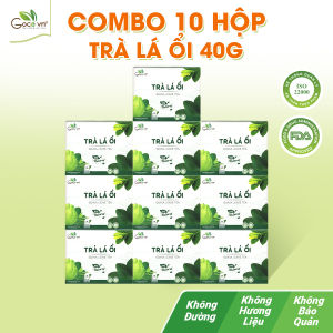 Combo 10 hộp Trà lá ổi túi lọc Goce - 10x40g