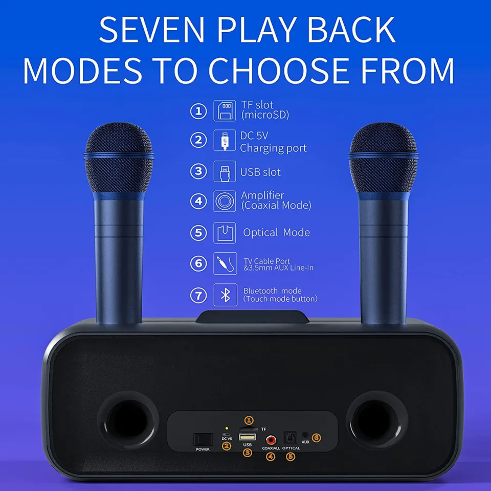SDRD SD-318 Bluetooth Karaoke Speaker Comes with 2 Wireless