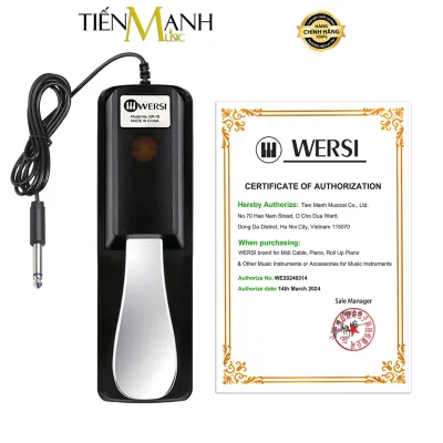 [Chính Hãng] Pedal Mỏ Vịt Sustain Wersi DP10 - Cho Đàn Organ Piano Trống Điện Tử Bàn Đạp Tạo Tiếng Vang Keyboard DP-10