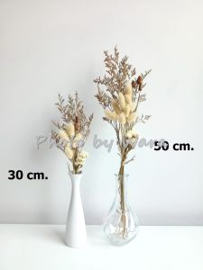 ช่อดอกไม้แห้ง ดอกไม้จริง ดอกไม้แห้ง ดอกหญ้าแห้ง หญ้าแห้ง DIY ดอกหญ้า ตกแต่ง พร้อพถ่ายรูป