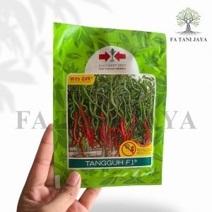 benih cabai rawit keriting Tangguh F1 East-West Seed Cap Panah Merah 2000 BUTIR