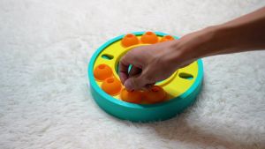 Plastic Dog Turntable Slow Feeder Interactive Leaking Food Bowl Slowly Eating Bowl Multifunctional Dog Puzzle Toys Educational Toy
