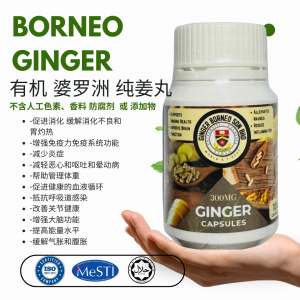 100% PURE BORNEO GINGER