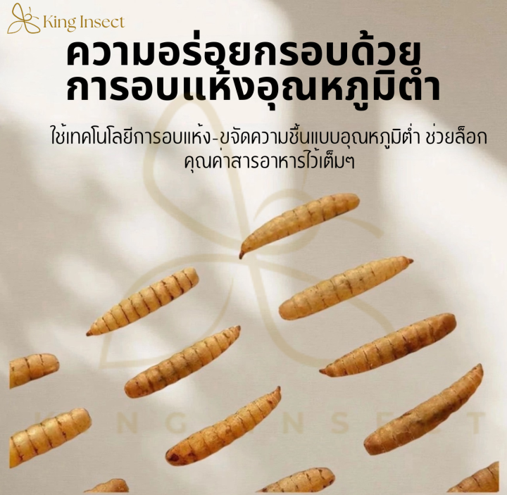 King Insect BSF หนอนแมลงวันลาย อบแห้ง สำหรับสัตว์เลี้ยง ชูการ์ หนู ...