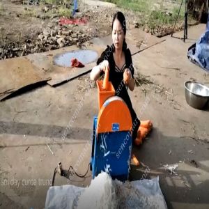 Máy Bào Sợi Củ Cải TrắngCủ Cà Rốt Làm Đồ Chua Siêu Nhanh