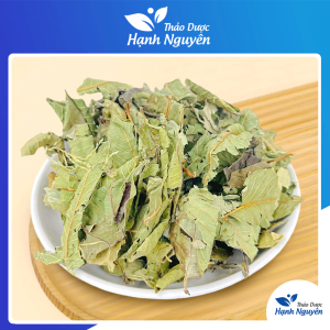 Lá ổi khô giảm cân 500g (Đọt ổi khô lá ổi non trà ổi giảm cân) - Thảo Dược Hạnh Nguyên