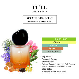 ITLL Ethereal Veil Men Perfume 30ml Citrus Woody Spicy Long Lasting Pabango Lalaki