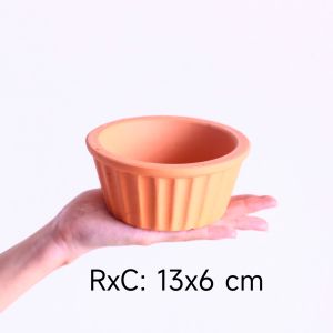 Chậu đất nung trồng sen đá hình sọc cho xương rồng cây cảnh mini cây cảnh để bàn