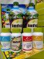 LIFESTYLES INTRA Cardiolife 60 Capsules 1 Bottle. 