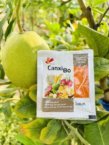 Phân bón canxi bo bón cây viên sủi pha với 25 lit nước lớn trái bóng trái đẹp hoa