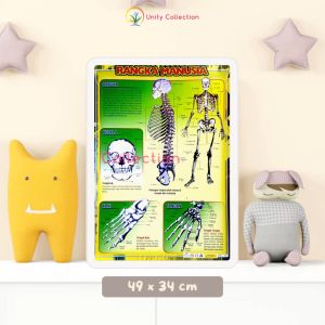 Poster Edukasi Anak Belajar Anggota Tubuh Manusia