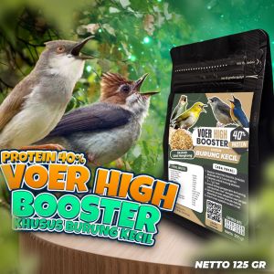 VOER BURCIL JUARA LOMBA | EKSTRAK ULAT HONGKONG | PAKAN JUARA LOMBA BURCIL | VOER PREMIUM | VOER GACOR SEHARIAN | MAKANAN BURUNG JUARA LOMBA | VOER HIGH BOOSTER PROTEIN 40% ( KHUSUS BURUNG KECIL ) 125 GR
