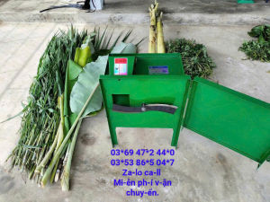 Máy băm cỏ voi chuối rau Toàn Phát 2 ngựa