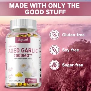 Odorless Garlic 2000mg Per Servings 2 Years Aged Garlic Extract Grown Allium Sativum Bulb  Potent Antioxidant Supplement Immune Support and Heart Health