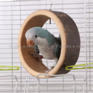 CLAWSnPAW Natural Bamboo Swing For Birds Small Pets I Chew Toy *ready stocks supports local