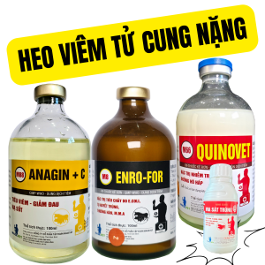 HEO VIÊM TỬ CUNG NẶNG QUINOVET+ENROFOR+ANAGIN+NANOSILVER