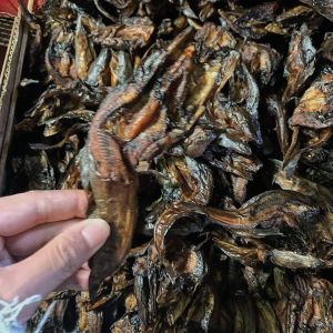 Ikan Lele Sale Khas Padangsidimpuan TAPSEL 250 GRAM