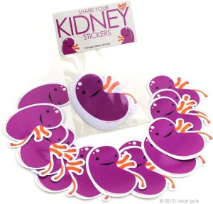 Share Your Kidneys Stickers – 15-Pack Vinyl Kidney Stickers for Kidney Disease Awareness Transplant Warriors Dialysis Patients CKD Support Water Bottles Journals Gifts