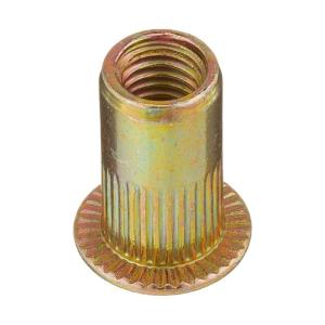 FOUNDTWO M3-M10 20/60/100pcs Collocation Cap Home Improvement Insert Nutsert Nuts Fastener Hardware Rivet Nuts Flat Head