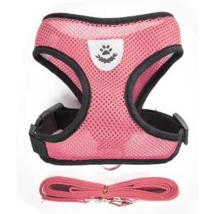Dog Harness Puppy Fashion Mesh Vest + Leash Lead Set