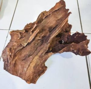 Kayu rentek size M aquascape aquarium
