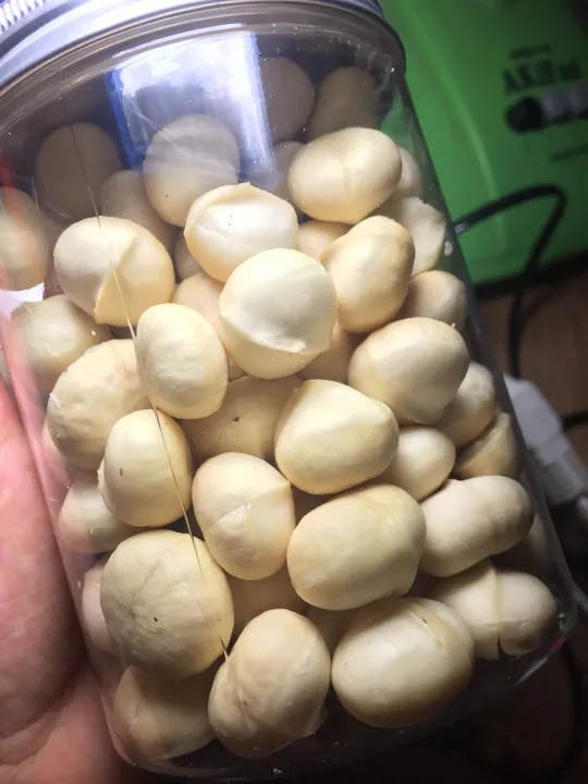 Nhân macca Đak Lak sấy chín hàng mới tươi ngon, không hôi dầu 500g