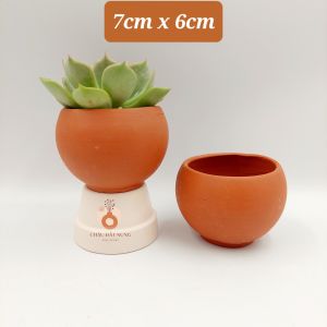 Chậu đất nung chậu sen đá - Trái banh mini 76 miệng chậu 7cm chiều cao 6cm