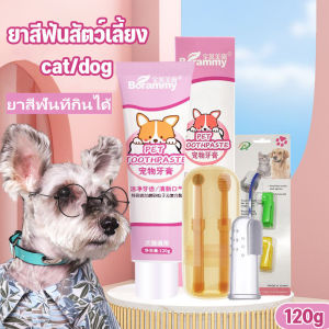 ชุดแปรงสีฟันสัตว์เลี้ยง ยาสีฟันสูงสุด 24 กรัม แปรงฟันแมวของคุณ สำหรับสัตว์เลี้ยง ชุดแปรงฟัน ยาสีฟันสำหรับสัตว์เลี้ยง