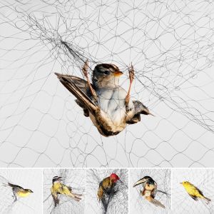 ตาข่ายดักนก ตาข่ายกันนก ที่ดักนก จับนก พิราบ ตาข่ายไนลอนกันนก อวนดักนก ข่ายดักนก มีหลายขนาด