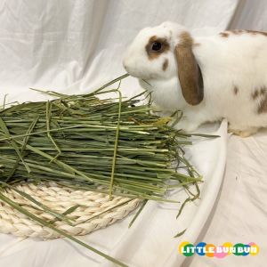 Premium timothy hay -oven dried Oat/Orchard/ Barley hay- high nutrition rabbit chinchilla guinea pig grass food