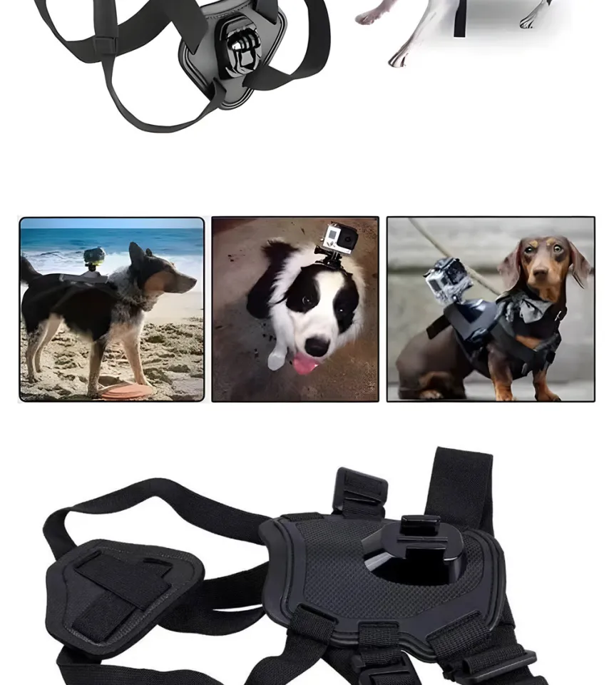 20240924 Dog Camera Harness Mount for SJCAM Gopro Hero 12 11 10
